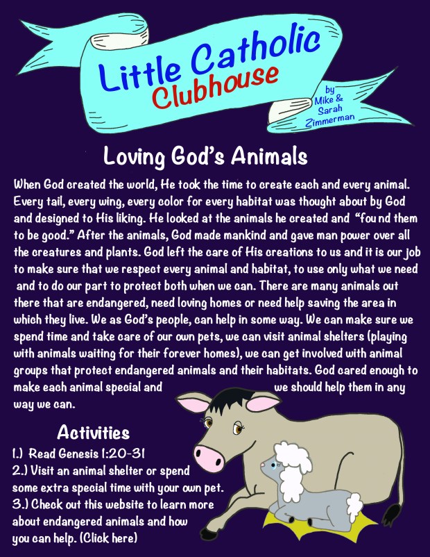 Day 6 Animal Shelter